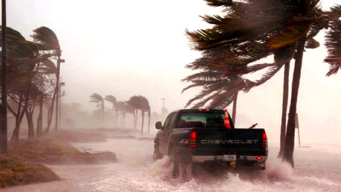 Cyclone Strome