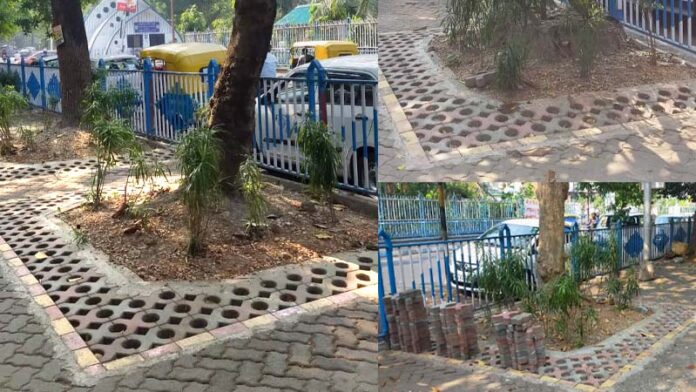 Tree Paver Block