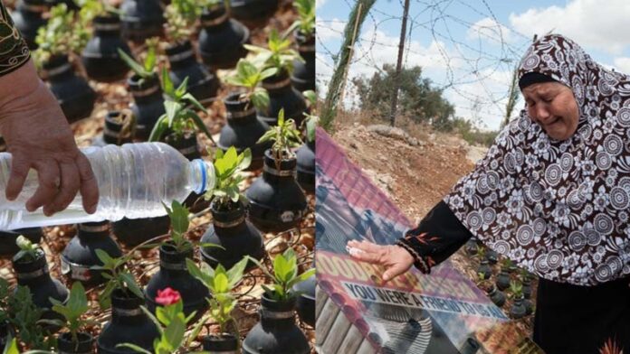flower garden grenade cell Israeli soldiers revenge rahma