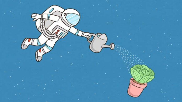 Mars Farming