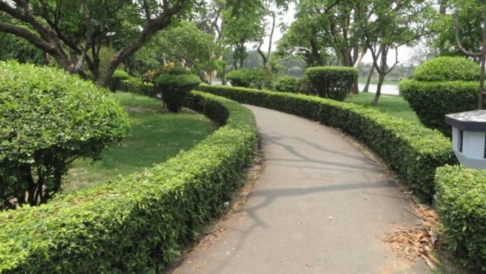 Park