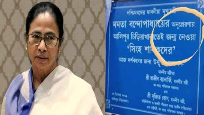 Mamata Banerjee