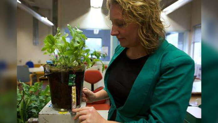 Dutch Scientists Nederlands