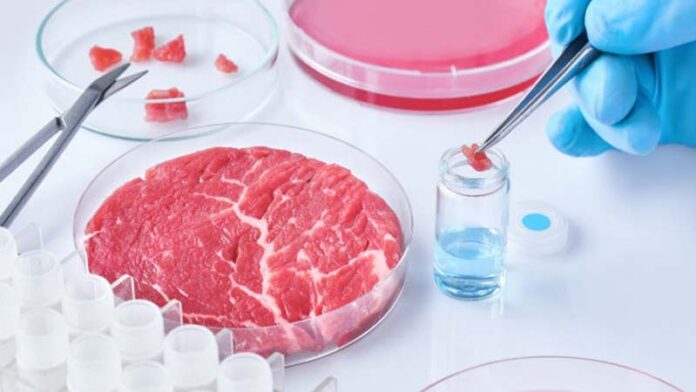Fake MEAT