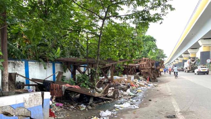 KMC Diamond Harbour Road Side Garbage Dump Behala Residents irritated