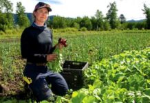Organic food means good wrong idea researchers