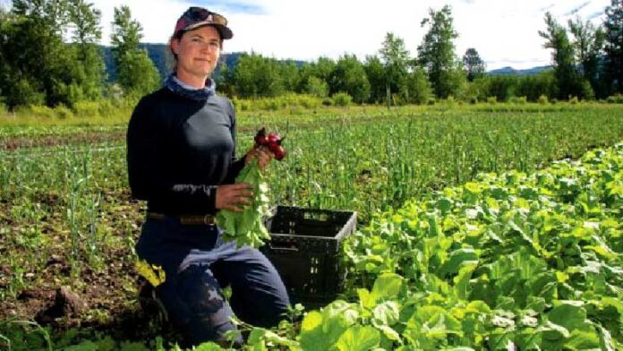 Organic food means good wrong idea researchers