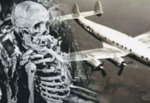 Skeletons