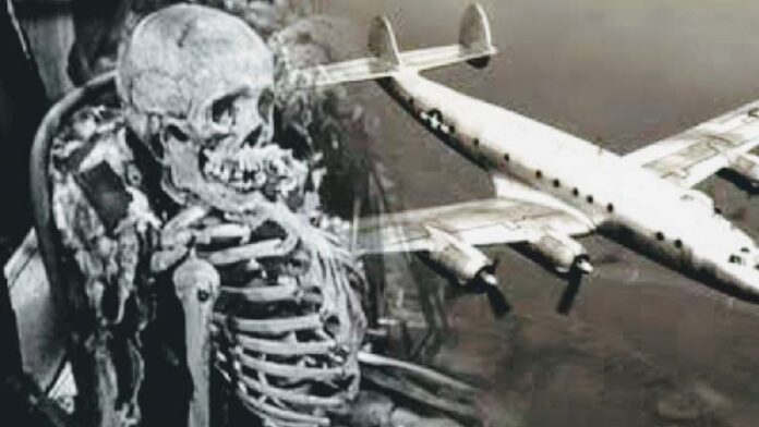 Skeletons